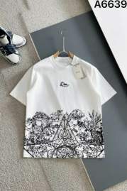 Picture of Dior T Shirts Short _SKUDiorS-2XL25cx1716117